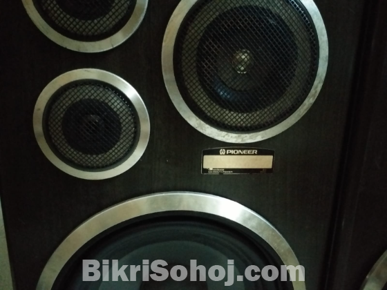 Pioneer speaker